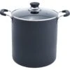 T-fal Specialty Nonstick Stockpot 12 Quart Oven Safe 350F Cookware, Pots And Pans, Dishwasher Safe Black | BigEasyMart.com