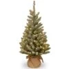 National Tree Company Pre-lit Artificial Mini Christmas Tree, Includes Small White LED Lights And Cloth Bag Base - 3 Ft, Brown/Green | BigEasyMart.com