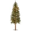 National Tree Company Lit Artificial Christmas Tree Includes Pre-strung White Lights And Stand, Hickory Cedar Slim-5 Ft | BigEasyMart.com