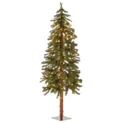 National Tree Company Lit Artificial Christmas Tree Includes Pre-strung White Lights And Stand, Hickory Cedar Slim-5 Ft | BigEasyMart.com