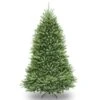 National Tree Company Artificial Full Christmas Tree, Green, Dunhill Fir, Includes Stand, 6 Feet | BigEasyMart.com