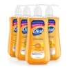 Dial Antibacterial Liquid Hand Soap, Gold, 11 Ounce (Pack Of 4), 4 Count | BigEasyMart.com