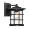 Quoizel Asheville 1-Light 10.5-in Dark Oil Rubbed Bronze Outdoor Wall Light | BigEasyMart.com
