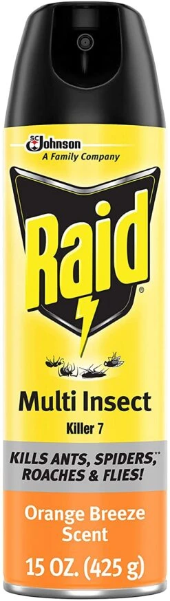 Raid Multi Insect Killer, Kills Ants, Spiders, Roaches And Flies, Orange Breeze, 15 Oz | BigEasyMart.com
