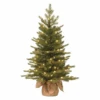 National Tree Company Pre-Lit 'Feel Real' Artificial Mini Christmas Tree, Green, Nordic Spruce, White Lights, Includes Burlap Bag Base, 3 Feet | BigEasyMart.com
