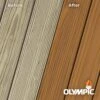 Olympic OLYEST13-01NV Elite 1 Gal. Timberline Semi-Transparent Exterior Wood Stain And Sealant In One Low VOC | BigEasyMart.com