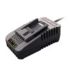Worx WA3881 POWER SHARE 18-Volt/20-Volt 60-minute Quick Charger | BigEasyMart.com